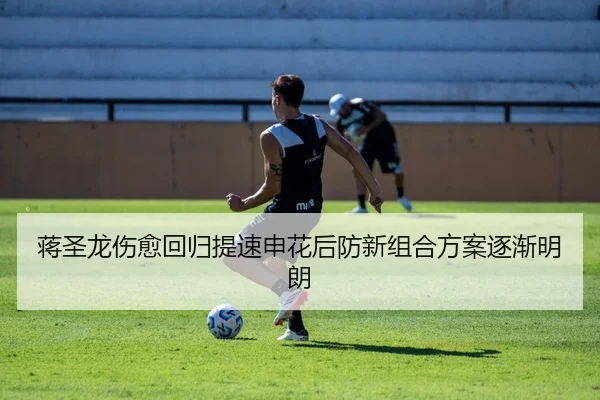 蒋圣龙伤愈回归提速申花后防新组合方案逐渐明朗 - MGSPORTS
